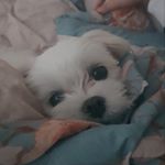 Profile Picture of Haetnimee (@haetnimee) on Instagram