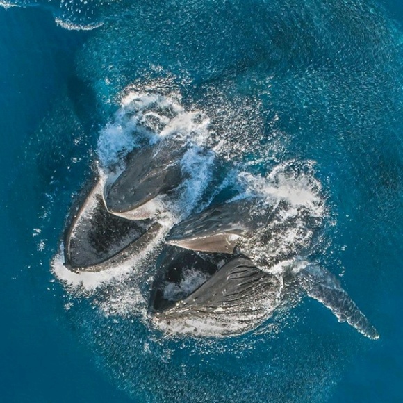 Profile Picture of Morgan Kotovsky (@morganc0223) on Poshmark