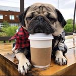 Profile Picture of _Wolfgang_Jason (@wolfgang.jason) on Instagram