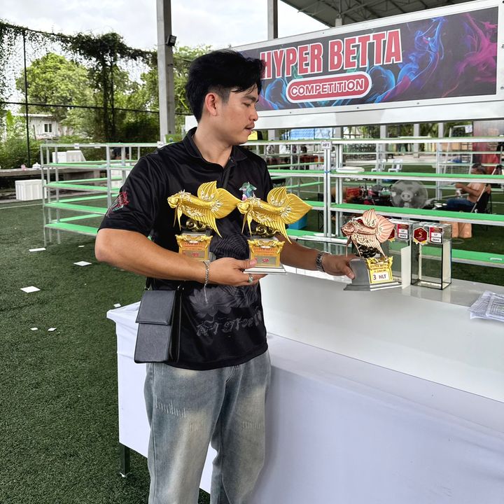 นิว ยอร์ค - Tiktok Profile Picture of นิว ยอร์ค (@new_nepper) on Tiktok