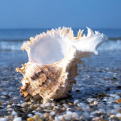 Profile Picture of David Jaffe (@dbjaffe) on Youtube