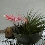 Profile Picture of Nancy Justiniano Vega (@nancyjustinianovega) on Instagram