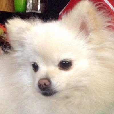 Profile Picture of Debra Watt (@wattbulb1956) on Twitter