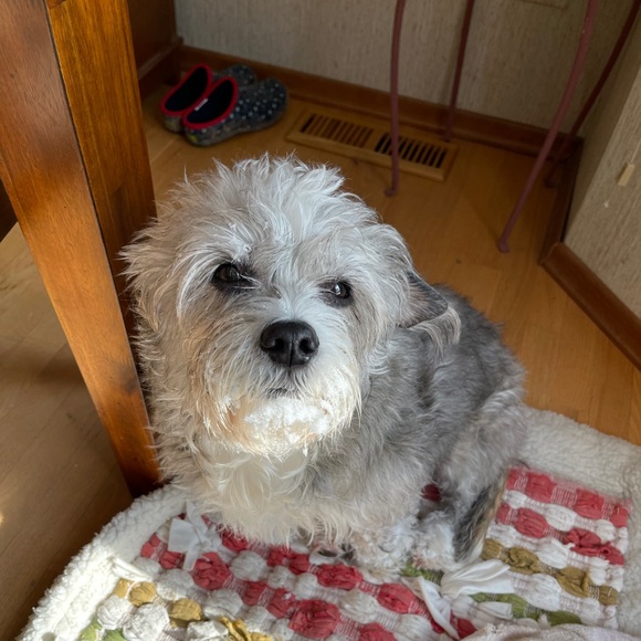 Profile Picture of Michele Brajdic (@michelebrajdic) on Poshmark