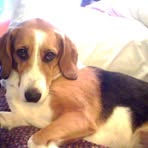 Profile Picture of Paula Brumley (@paula.brumley.3) on Facebook