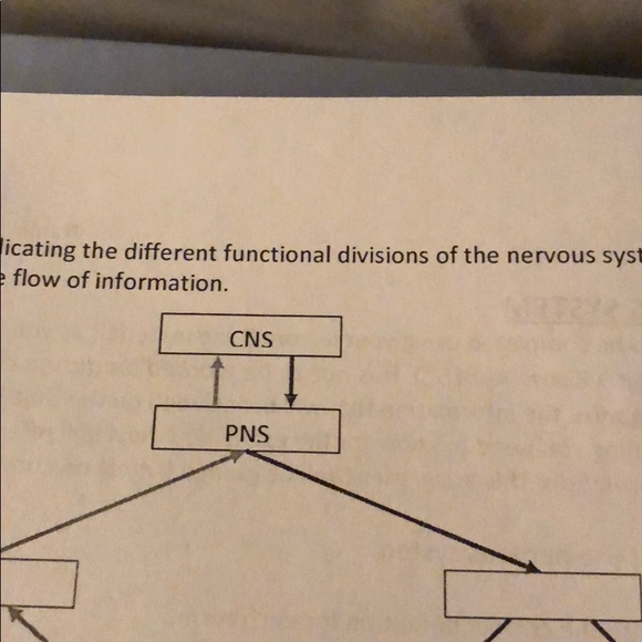 Christina Gleitz - Poshmark Profile Picture of Christina Gleitz (@cgleitz) on Poshmark