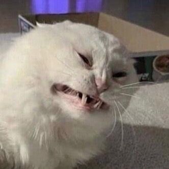 Profile Picture of ronald (@ronaldkeg) on Tiktok