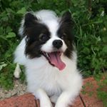 Profile Picture of debbie_huynhh (@debbie_huynhh) on Instagram