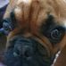 Profile Picture of Frank Schlúter (@frank.schluter.520125) on Facebook