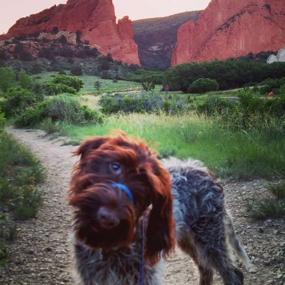 Profile Picture of Brittany Kulakowski (@blondebritty925) on Poshmark