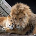 Maria Ceno - Instagram Profile Picture of Maria Ceno (@maria.ceno) on Instagram