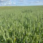 Profile Picture of Thomas Dilly (@thomas.dilly.9) on Facebook