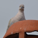 Profile Picture of Kevin wood (@jtgvhuoe53) on Flickr