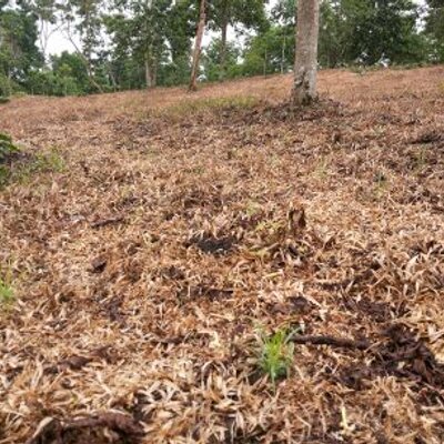 Profile Picture of Martin Soloman Camaj (@SolomanMartin) on Twitter