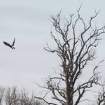 Jacob Buhl - Instagram Profile Picture of Jacob Buhl (@jacobbuhl23) on Instagram