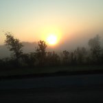 Profile Picture of Wanda Murphy (@wandamurphy18) on Instagram