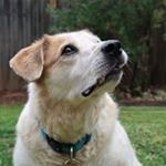 Profile Picture of Taryn Knight (@taryn.knight.14) on Instagram