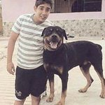 Profile Picture of Herbert Giron (@gironherbert) on Instagram