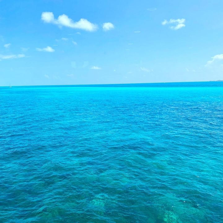 user6453964961763 - Tiktok Profile Picture of user6453964961763 (@shellymurr) on Tiktok