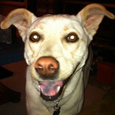 Profile Picture of Stephen Stange (@sstange13) on Twitter