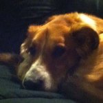 Profile Picture of Michaela Watters (@mw10987) on Instagram