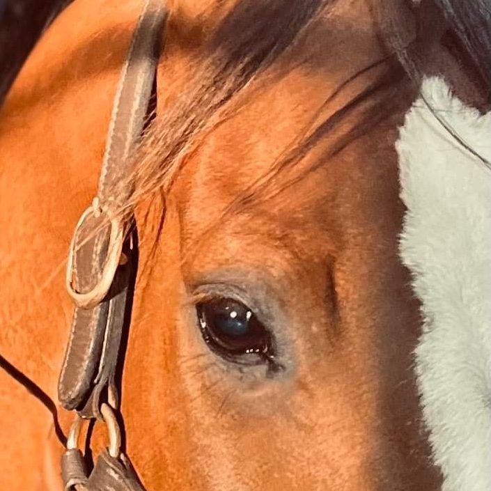 Profile Picture of Josh storms (@jstorms) on Tiktok