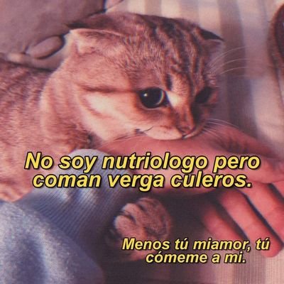 Profile Picture of Isaac Castañeda (@IsaacCa84504289) on Twitter