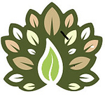 Profile Picture of Bradley Gray (@northpointevergeen) on Flickr