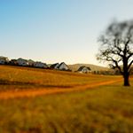 Profile Picture of paula_heyes (@paula_heyes) on Instagram