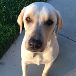 Tucker James Ziemann - Instagram Profile Picture of Tucker James Ziemann (@tuckerjames12) on Instagram