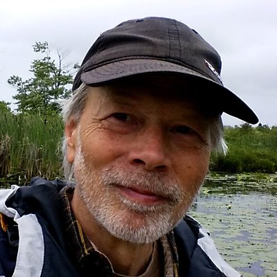 Profile Picture of Ken McRitchie (@Ken_McRitchie) on Twitter