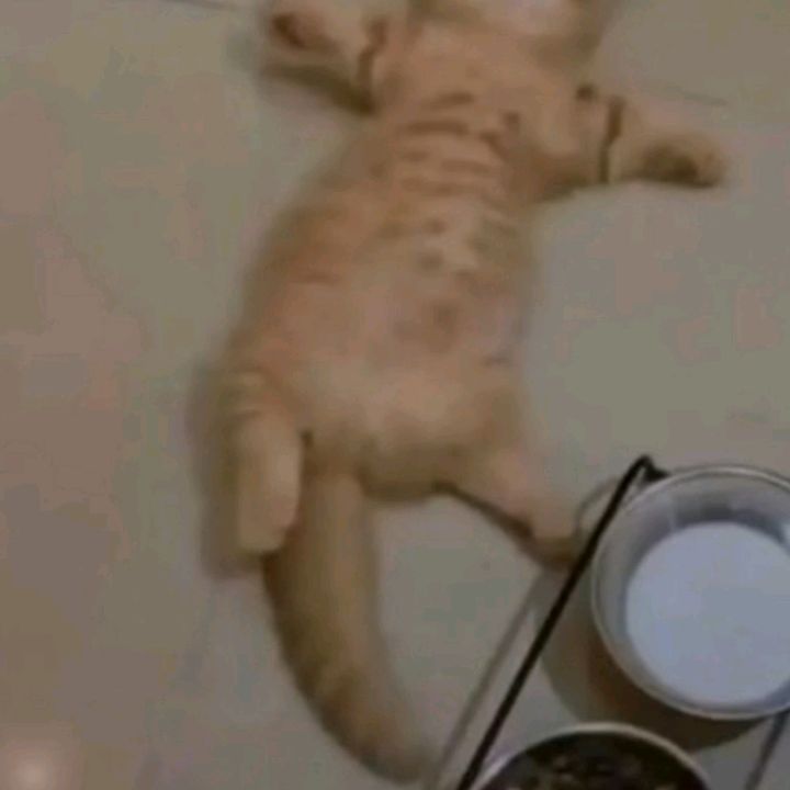 Profile Picture of adrianalcoser136 (@adrianalcoser136) on Tiktok