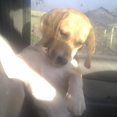 Profile Picture of Tammy Keeling (@TamKee64) on Twitter