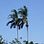 Profile Picture of Julio Cesar Benitez Reyes (@juliocesarbenitezreyes) on Flickr