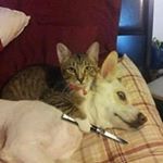 Profile Picture of Eric Shott (@ericshott) on Instagram