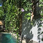 Bomin Kim - Instagram Profile Picture of Bomin Kim (@bominieeee) on Instagram