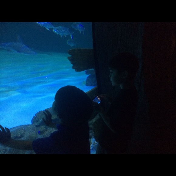 Profile Picture of Yong Ha (@yongqueen) on Poshmark