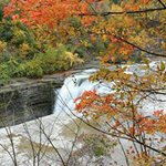 Profile Picture of Kathy Docherty-Denny (@kathy.dochertydenny) on Instagram