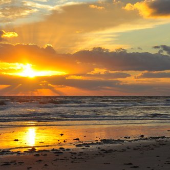 Profile Picture of Vivian Hanna (@BeachLivRealtor) on Twitter