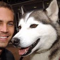Profile Picture of Kevin Faulkner (@kevin-faulkner-17) on Quora