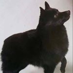 Profile Picture of Joyce Macfarlane (@macfarlane3999) on Instagram