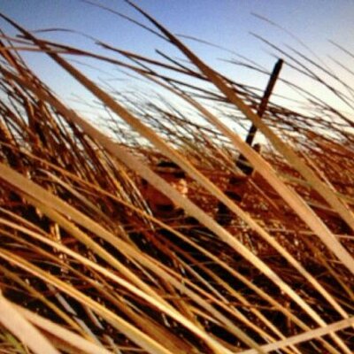 Profile Picture of Zach Barger (@barger_zach) on Twitter