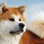 Loredana Nuzzo - Facebook Profile Picture of Loredana Nuzzo (@loredana.nuzzo.1) on Facebook