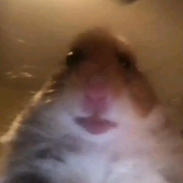 Profile Picture of 🖤Destiny💜 (@destinypotts8) on Tiktok