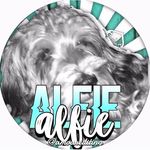 Profile Picture of Alfred Hall (@alfredhall12) on Instagram