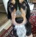 Profile Picture of Peter Pfister (@peter.pfister.7771) on Facebook