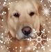 Profile Picture of David Bannick (@david.bannick.37) on Facebook