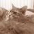 Profile Picture of Nancy Dobson (@dobson0388) on Pinterest