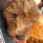 Profile Picture of Benjamin Parker (@benji.dooodle) on Instagram