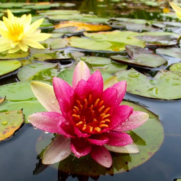 Dianne Rolls - Poshmark Profile Picture of Dianne Rolls (@dr1gg) on Poshmark